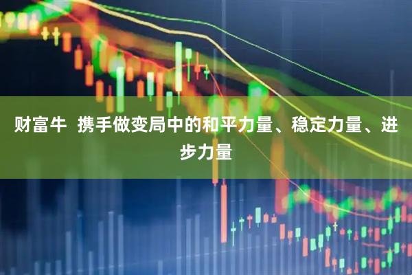 财富牛  携手做变局中的和平力量、稳定力量、进步力量