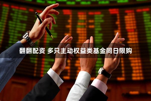 翻翻配资 多只主动权益类基金同日限购