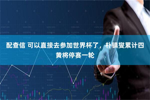 配查信 可以直接去参加世界杯了，朴镇燮累计四黄将停赛一轮